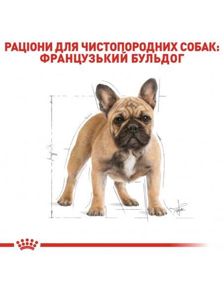 Сухой корм для взрослых собак ROYAL CANIN FRENCH BULLDOG ADULT 1.5 кг